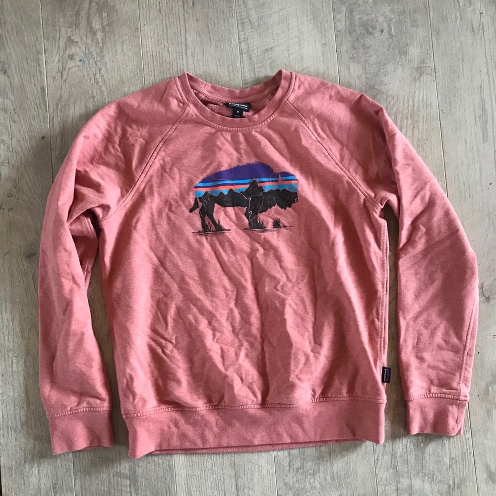 Patagonia crewneck